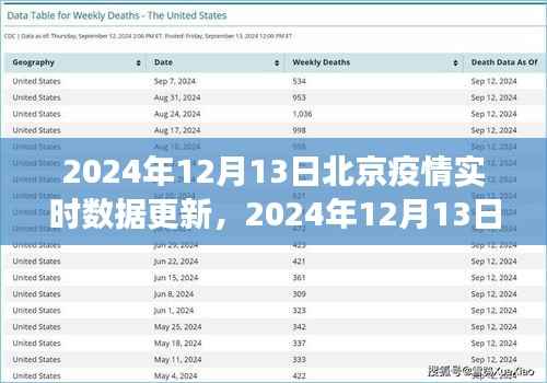 北京疫情实时数据更新解析与洞察(2024年12月13日)