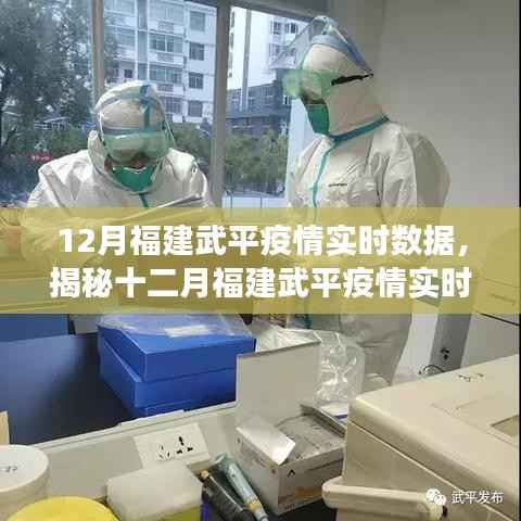 福建武平疫情实时数据深度解读与分析报告
