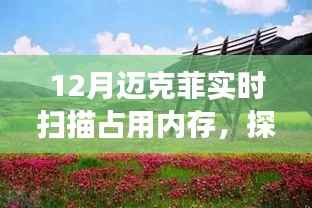 迈克菲实时扫描与内存占用,自然之旅寻找内心平和之地