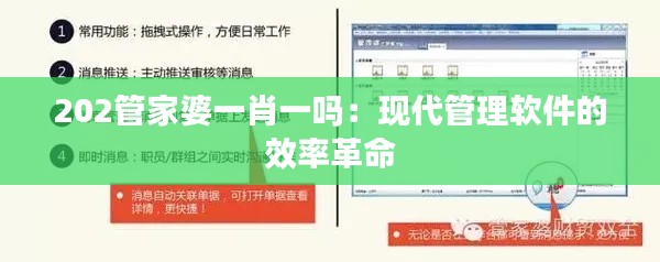 202管家婆一肖一吗:现代管理软件的效率革命