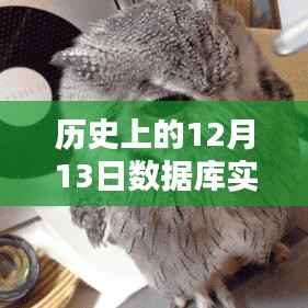 历史上的12月13日数据库实时打印日志星辰,新纪元启动