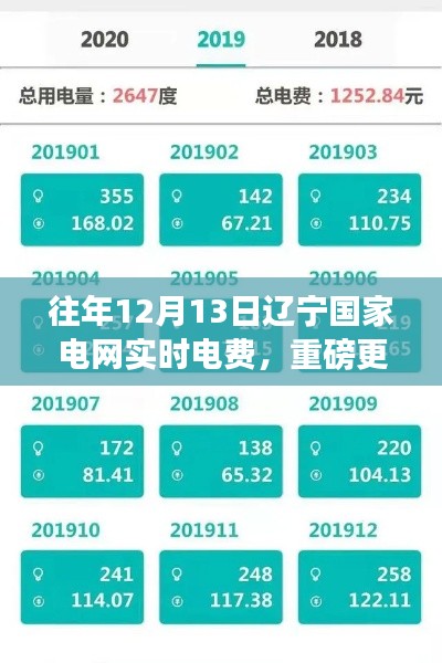重磅解读，往年12月13日辽宁国家电网实时电费变化细节分析！