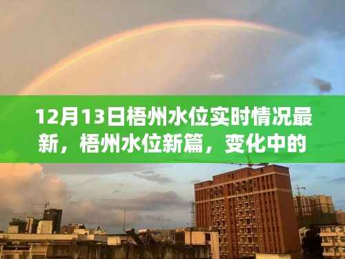 梧州水位实时更新,变化中的力量,学习与成就的自信之旅
