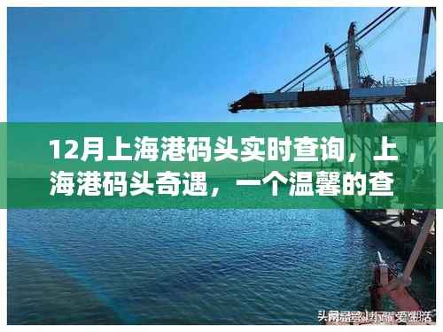 上海港码头奇遇,温馨的查询故事实时更新