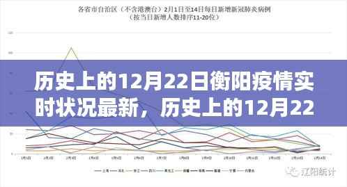 历史上的12月22日衡阳疫情实时状况深度解析与最新评测
