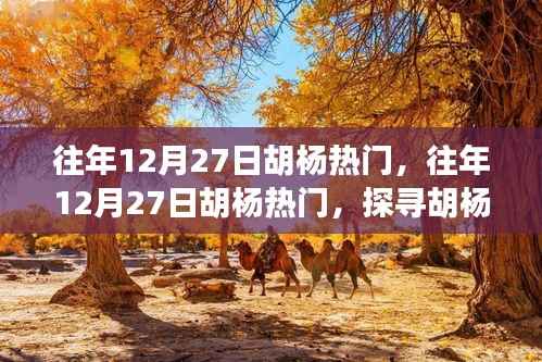 探寻胡杨魅力与热门事件背后的故事,历年12月27日胡杨之旅的热门揭秘