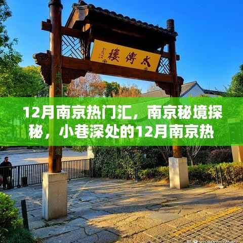 南京秘境探秘,揭秘小巷深处的十二月热门特色小店