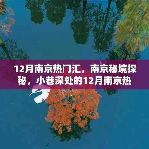 南京秘境探秘,揭秘小巷深处的十二月热门特色小店