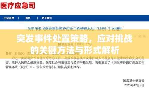 突发事件处置策略，应对挑战的关键方法与形式解析