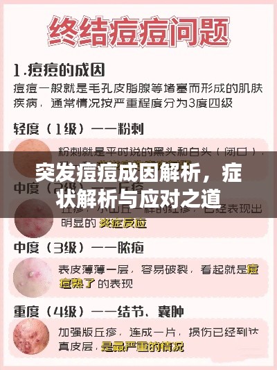 突发痘痘成因解析,症状解析与应对之道