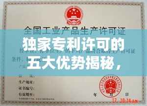 独家专利许可的五大优势揭秘,专利保护下的商业新机遇!