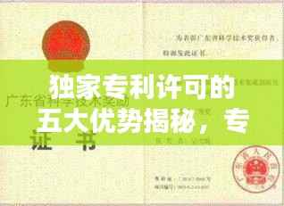 独家专利许可的五大优势揭秘,专利保护下的商业新机遇!