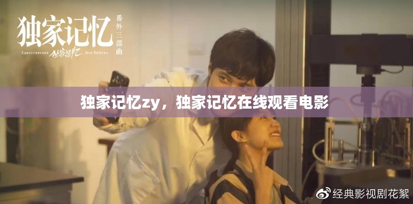 独家记忆zy，独家记忆在线观看电影 