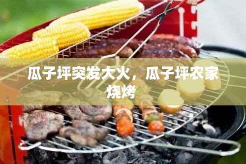 瓜子坪突发大火,瓜子坪农家烧烤