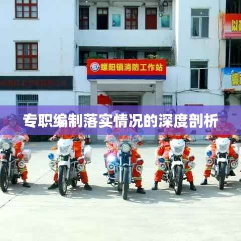 专职编制落实情况的深度剖析