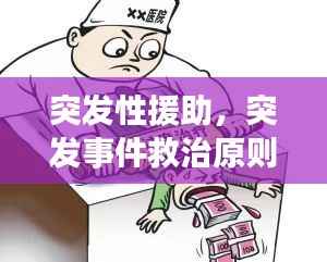 突发性援助，突发事件救治原则 