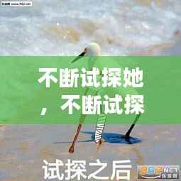 不断试探她,不断试探表情包