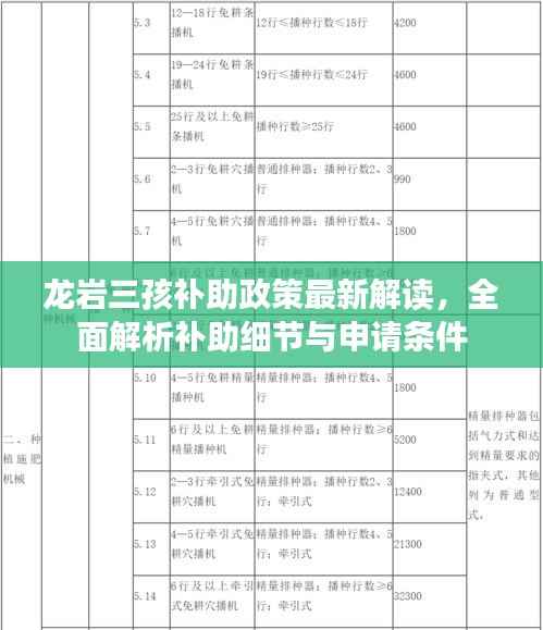 龙岩三孩补助政策最新解读,全面解析补助细节与申请条件