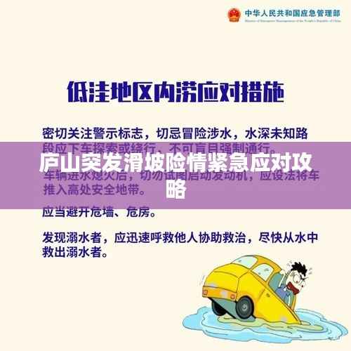 不飞则已 第3页