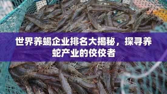 世界养蝎企业排名大揭秘,探寻养蛇产业的佼佼者