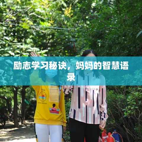 励志学习秘诀,妈妈的智慧语录