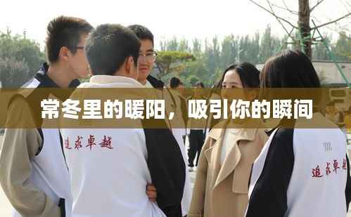 常冬里的暖阳,吸引你的瞬间