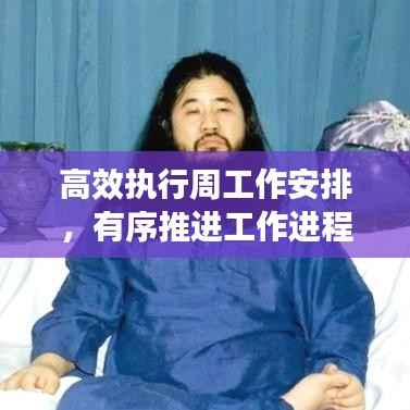 高效执行周工作安排,有序推进工作进程