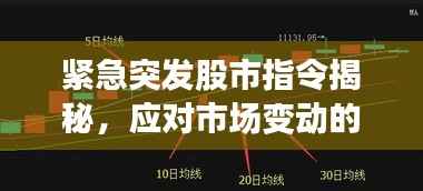 紧急突发股市指令揭秘,应对市场变动的关键策略指南