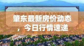 肇东最新房价动态，今日行情速递