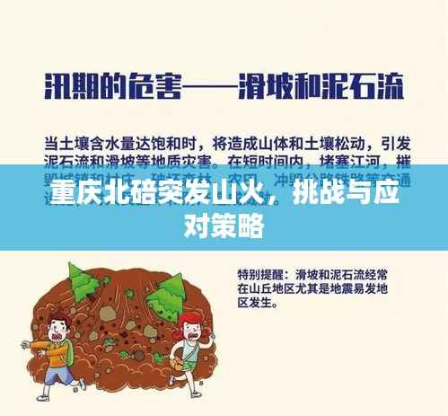 马马虎虎 第2页