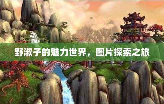 从容就义 第2页