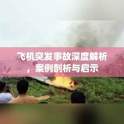 鸟为食亡 第2页