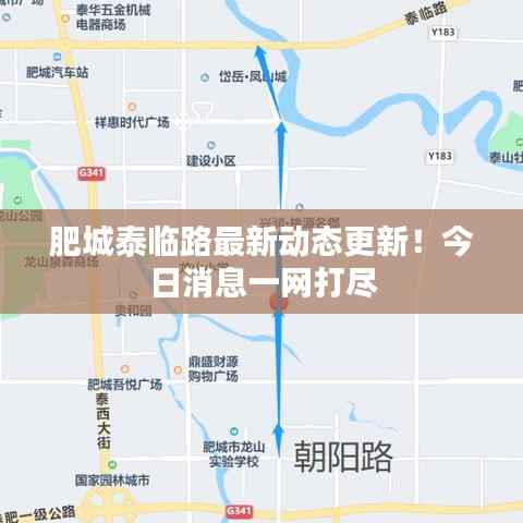 肥城泰临路最新动态更新!今日消息一网打尽