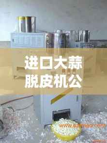 进口大蒜脱皮机公司排行榜揭晓，权威排名一网打尽！