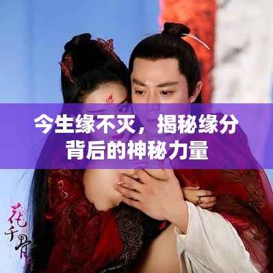 不求甚解 第3页