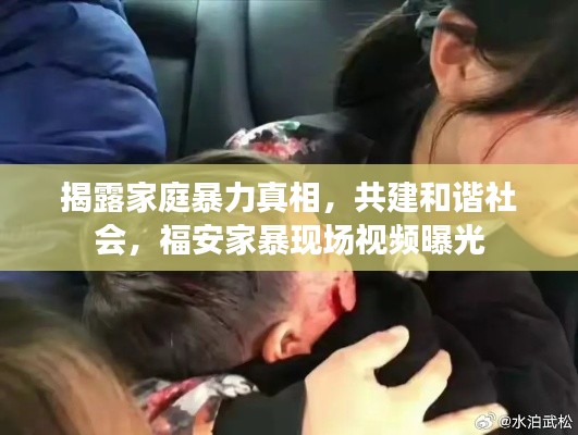 揭露家庭暴力真相,共建和谐社会,福安家暴现场视频曝光