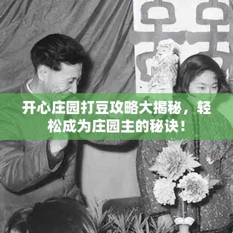 开心庄园打豆攻略大揭秘,轻松成为庄园主的秘诀!