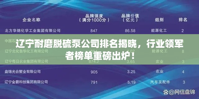 辽宁耐磨脱硫泵公司排名揭晓,行业领军者榜单重磅出炉!