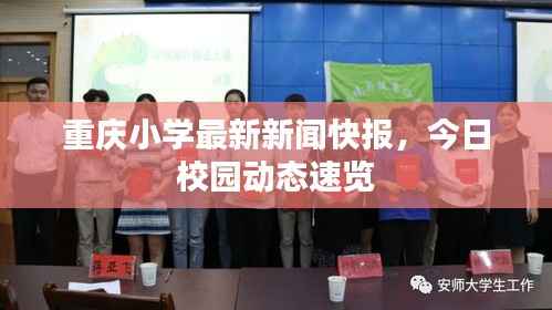重庆小学最新新闻快报,今日校园动态速览