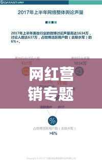 网红营销专题,策略深度解析、挑战应对及未来趋势展望