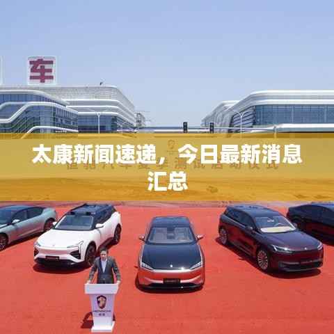 太康新闻速递,今日最新消息汇总