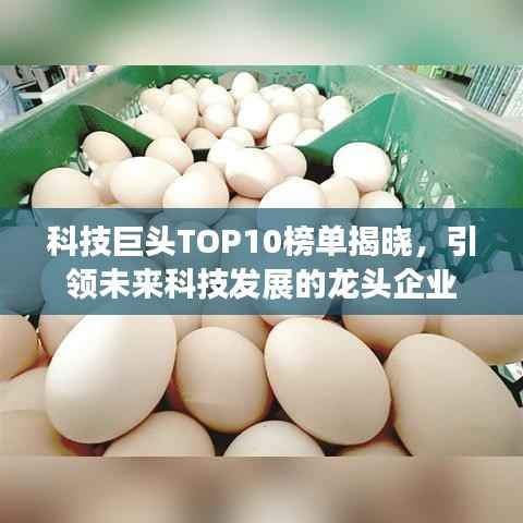 科技巨头TOP10榜单揭晓,引领未来科技发展的龙头企业