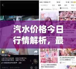 汽水价格今日行情解析,最新市场动态一网打尽!