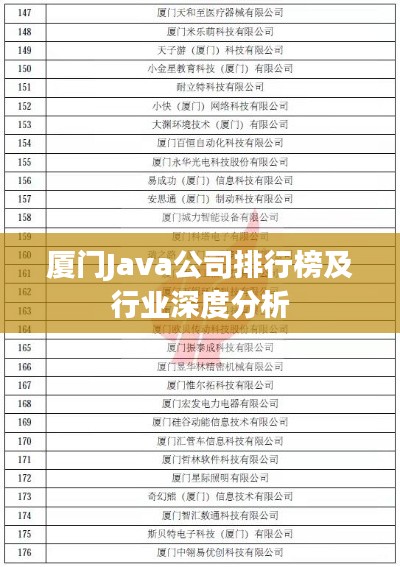 厦门Java公司排行榜及行业深度分析