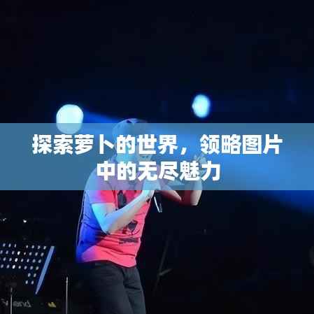 探索萝卜的世界,领略图片中的无尽魅力