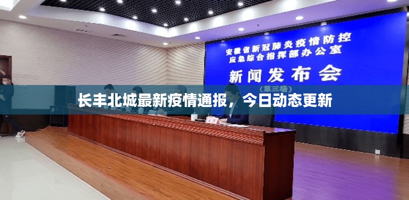 长丰北城最新疫情通报,今日动态更新