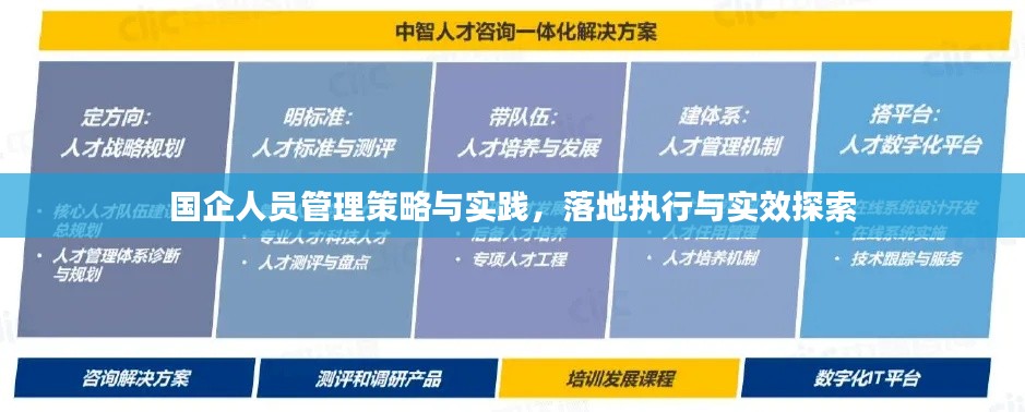 国企人员管理策略与实践，落地执行与实效探索