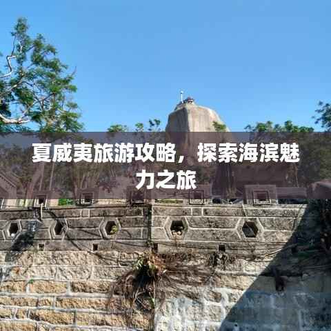 夏威夷旅游攻略，探索海滨魅力之旅